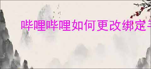 哔哩哔哩如何更改绑定手机号
