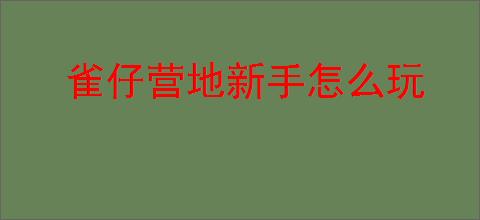 雀仔营地新手怎么玩