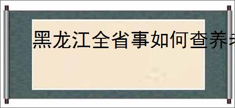 黑龙江全省事如何查养老金发放