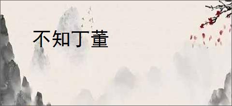 不知丁董