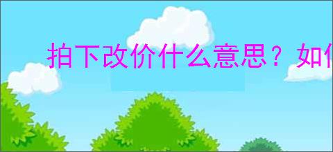拍下改价什么意思?如何理解电商平台的“拍下改价”规则?