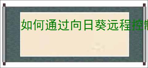 如何通过向日葵远程控制软件重启电脑