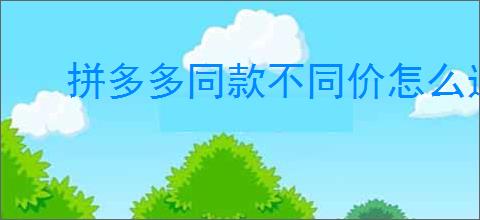 拼多多同款不同价怎么选?如何挑选价格<a href=