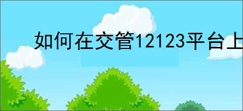 如何在交管12123平台上领取随手拍举报奖励