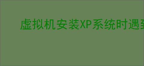 虚拟机安装XP系统时遇到错误解决办法