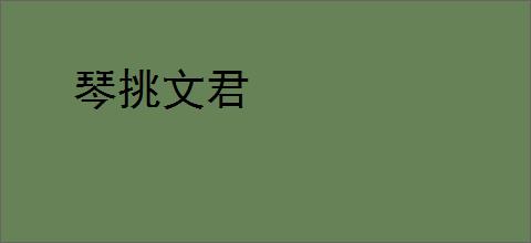 琴挑文君
