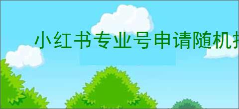 小红书专业号申请随机抽奖流程指南