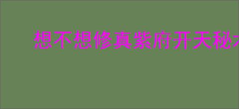 想不想修真紫府开天秘术的作用是什么