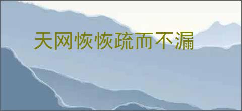 天网恢恢疏而不漏