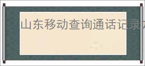 山东移动查询通话记录方法