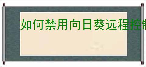 如何禁用向日葵远程控制软件
