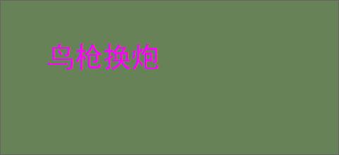 鸟枪换炮