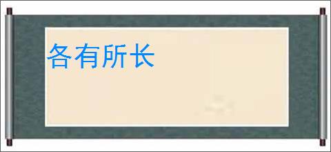 各有所长