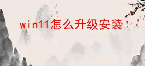 win11怎么升级安装