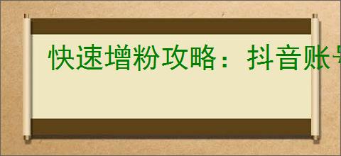 快速增粉攻略:抖音账号如何突破1000粉丝