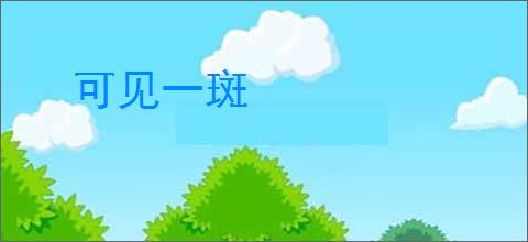 可见一斑