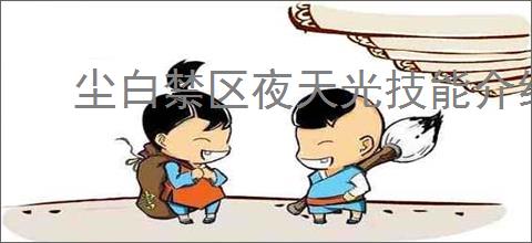 尘白禁区夜天光技能介绍与解析