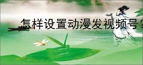 怎样设置动漫发视频号？如何提高视频的播放量？
