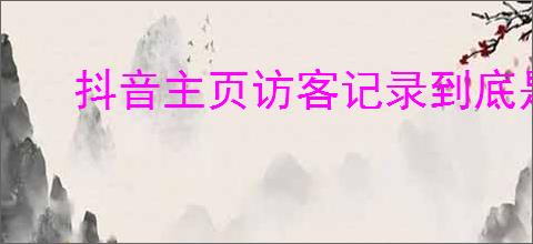 抖音主页访客记录到底是人还是次数