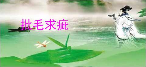 批毛求疵