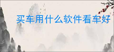 买车用什么软件看车好
