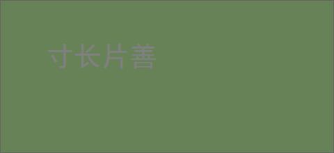 寸长片善