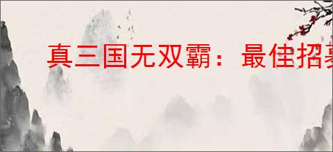 真三国无双霸：最佳招募地区选择攻略