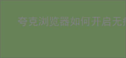 夸克浏览器如何开启无痕浏览