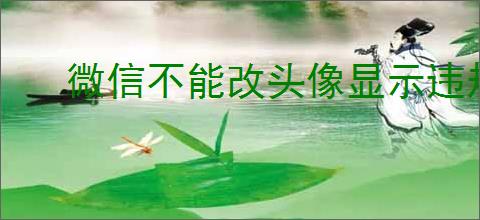 微信不能改头像显示违规