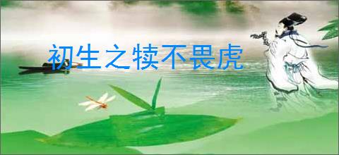 初生之犊不畏虎