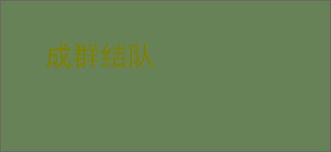 成群结队