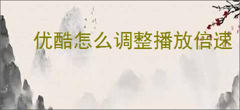 优酷怎么调整播放倍速