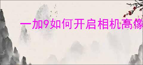 一加9如何开启相机高像素模式