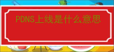 PDNS上线是什么意思