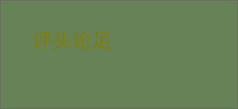 评头论足