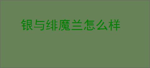 银与绯魔兰怎么样