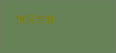 愤风惊浪