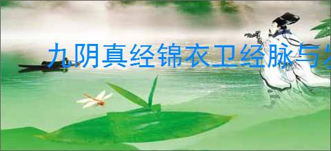 九阴真经锦衣卫经脉与发展路线推荐