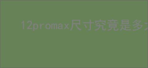 12promax尺寸究竟是多大