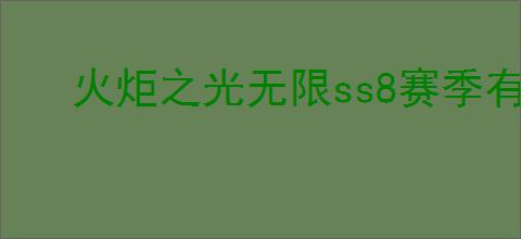 火炬之光无限ss8赛季有什么
