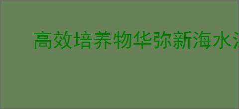 高效培养物华弥新海水江崖炉技巧指南