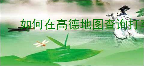 如何在高德地图查询打车记录
