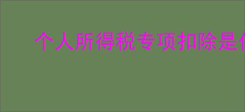 个人所得税专项扣除是什么