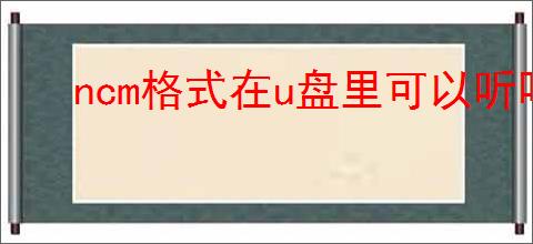 ncm格式在u盘里可以听吗