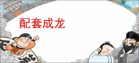 配套成龙
