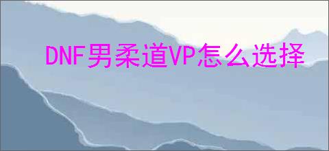 DNF男柔道VP怎么选择