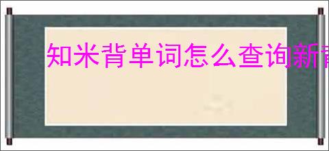 知米背单词怎么查询新背单词记录