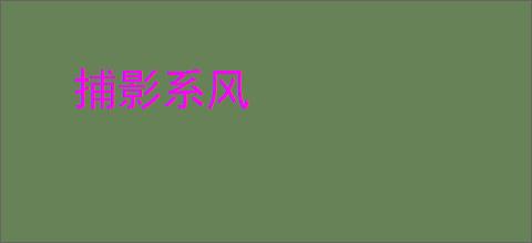 捕影系风