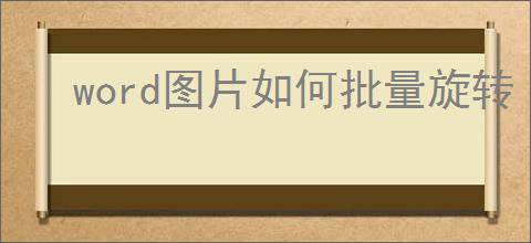 word图片如何批量旋转