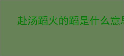 赴汤蹈火的蹈是什么意思